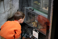 IMG_4633d