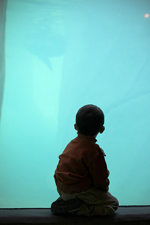 IMG_4742_2p