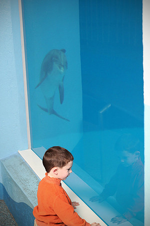 IMG_4746_2q