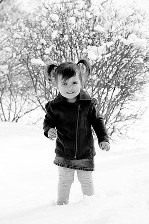 IMG_8599l2