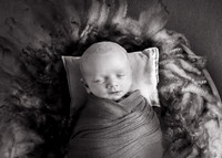 Newborn photography digital background prop. wicker basket with