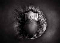 Newborn photography digital background prop. wicker basket with