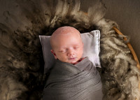 Newborn photography digital background prop. wicker basket with
