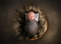 Newborn photography digital background prop. wicker basket with