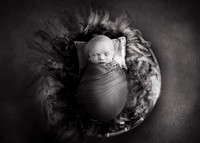 Newborn photography digital background prop. wicker basket with