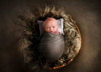 Newborn photography digital background prop. wicker basket with